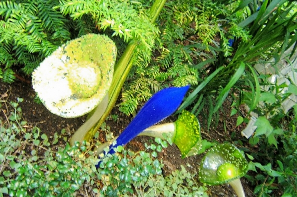 DSCF1687