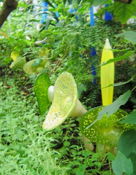 DSCF1691