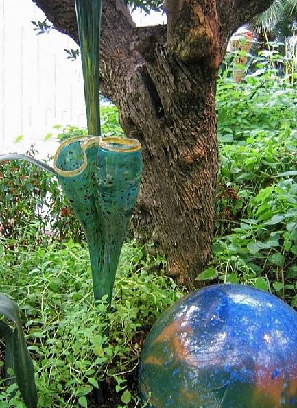 DSCF1694