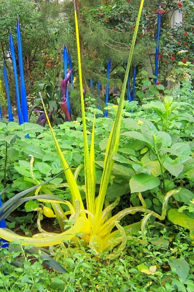 DSCF1699