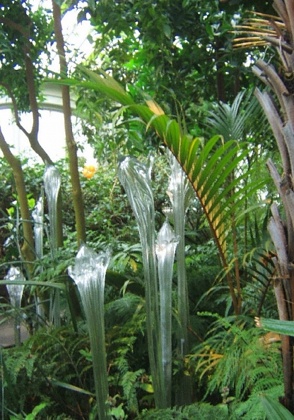 DSCF1717