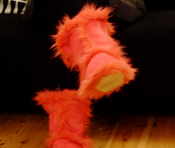 DSCF4483