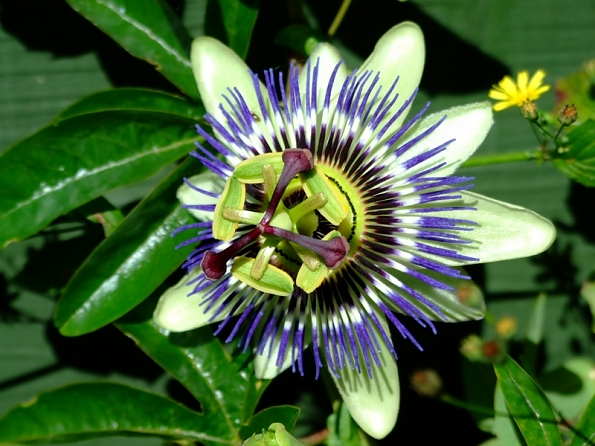 DSCF3167
