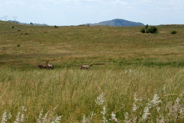 DSCF0169