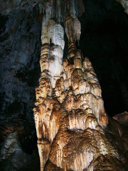 DSCF0185