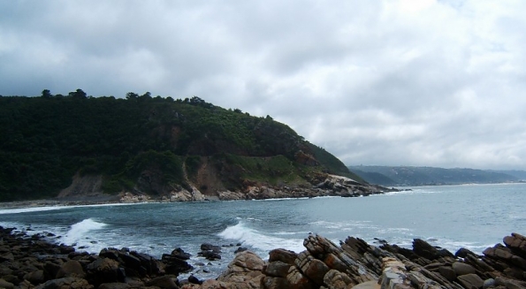 DSCF0441