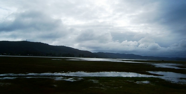 DSCF0475