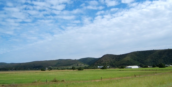 DSCF0495