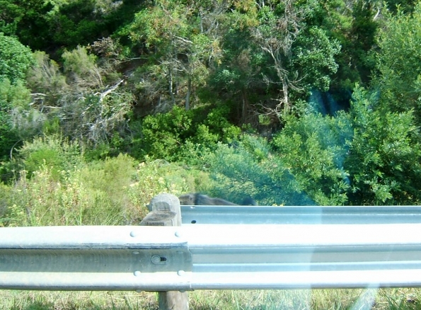 DSCF0496