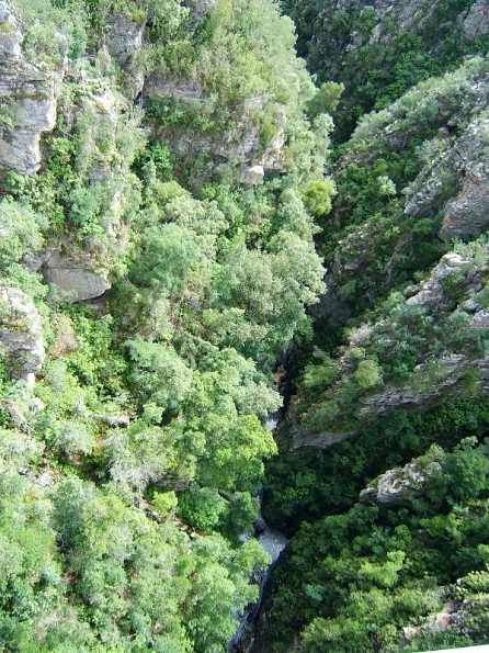 DSCF0503