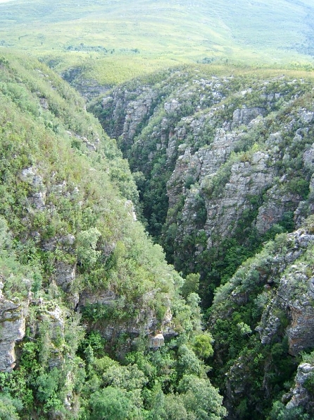 DSCF0504
