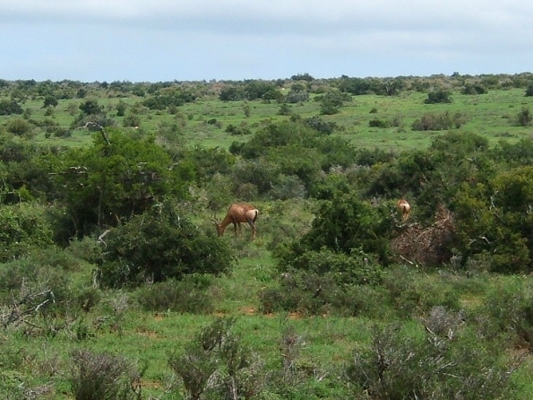 DSCF0512