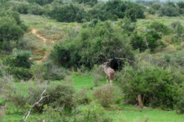 DSCF0517
