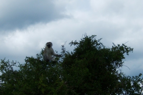 DSCF0521