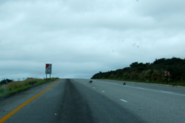 DSCF0584