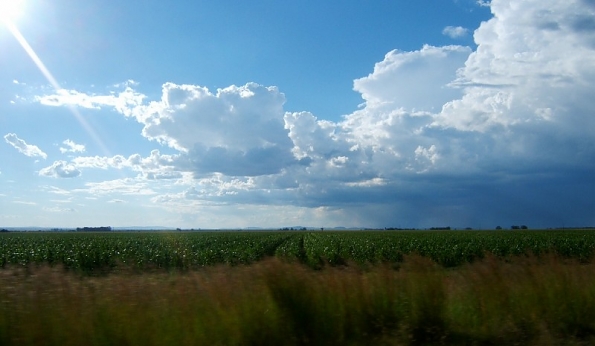 DSCF0599