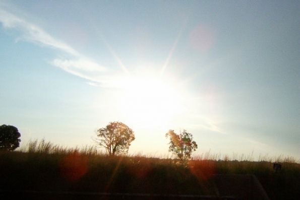 DSCF0614