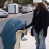 nickdolphin_jpg
