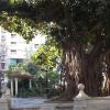 parque_jpg