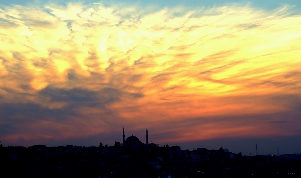 DSCF2714