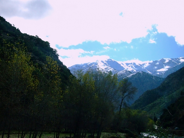DSCF4359