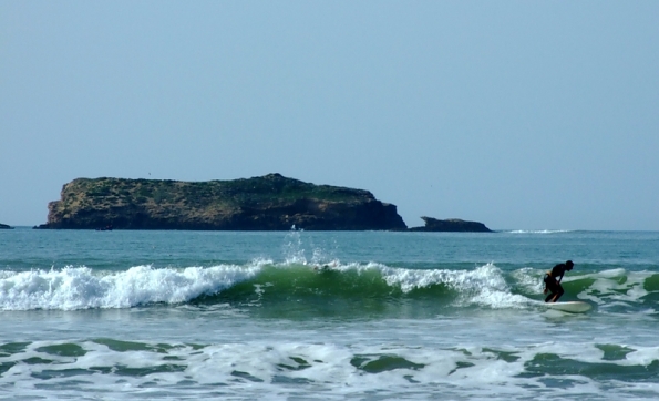 DSCF4433