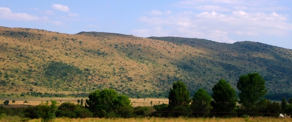 DSCF5482