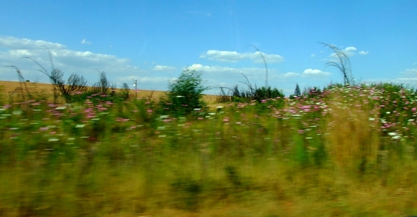 DSCF5497